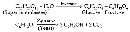 Alcohols, Phenols and Ethers Class 12 Notes Chemistry 59