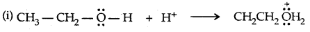 Alcohols, Phenols and Ethers Class 12 Notes Chemistry 61