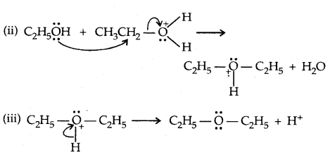 Alcohols, Phenols and Ethers Class 12 Notes Chemistry 62