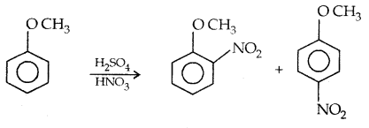 Alcohols, Phenols and Ethers Class 12 Notes Chemistry 77