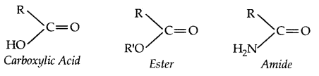 Aldehydes, Ketones and Carboxylic Acids Class 12 Notes Chemistry 2