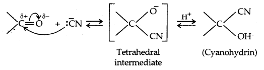 Aldehydes, Ketones and Carboxylic Acids Class 12 Notes Chemistry 30