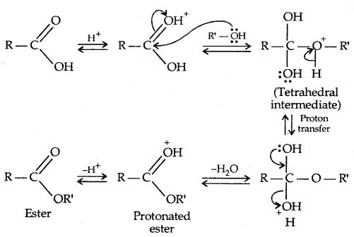 Aldehydes, Ketones and Carboxylic Acids Class 12 Notes Chemistry 65