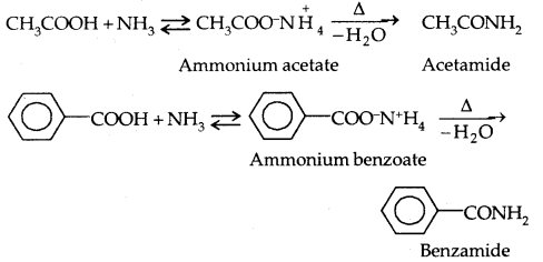 Aldehydes, Ketones and Carboxylic Acids Class 12 Notes Chemistry 66