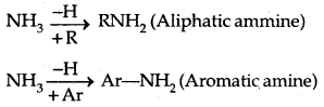 Amines Class 12 Notes Chemistry 1