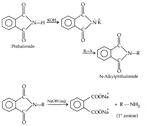 Amines Class 12 Notes Chemistry 10