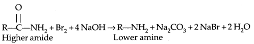 Amines Class 12 Notes Chemistry 11