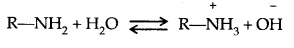 Amines Class 12 Notes Chemistry 14