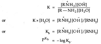 Amines Class 12 Notes Chemistry 15