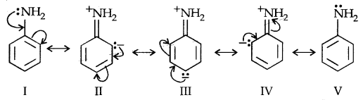 Amines Class 12 Notes Chemistry 18