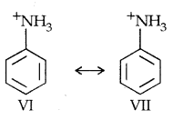 Amines Class 12 Notes Chemistry 19