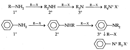 Amines Class 12 Notes Chemistry 20