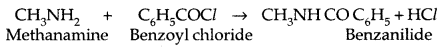 Amines Class 12 Notes Chemistry 24