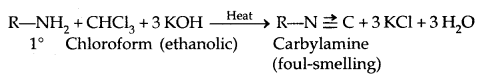 Amines Class 12 Notes Chemistry 25