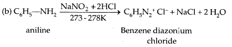 Amines Class 12 Notes Chemistry 27