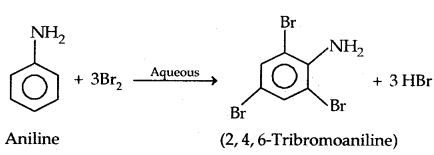 Amines Class 12 Notes Chemistry 30