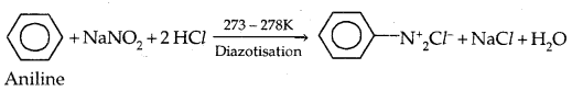 Amines Class 12 Notes Chemistry 37