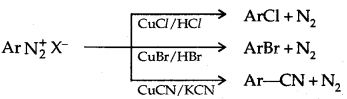 Amines Class 12 Notes Chemistry 38