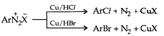 Amines Class 12 Notes Chemistry 39