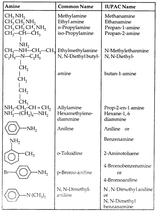 Amines Class 12 Notes Chemistry 4