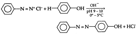 Amines Class 12 Notes Chemistry 42