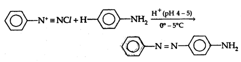 Amines Class 12 Notes Chemistry 43