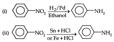 Amines Class 12 Notes Chemistry 5