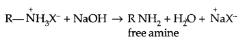 Amines Class 12 Notes Chemistry 7