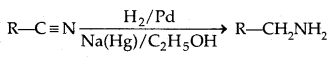 Amines Class 12 Notes Chemistry 8