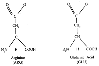 Biomolecules Class 11 Important Extra Questions Biology 9