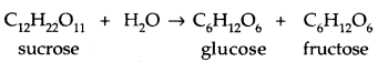 Biomolecules Class 12 Notes Chemistry 1