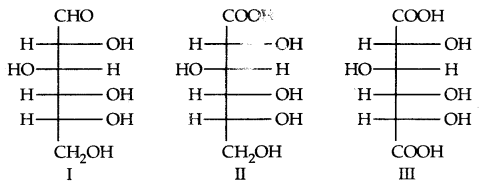 Biomolecules Class 12 Notes Chemistry 11