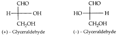 Biomolecules Class 12 Notes Chemistry 12