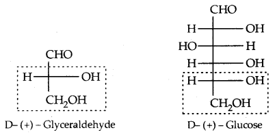 Biomolecules Class 12 Notes Chemistry 13