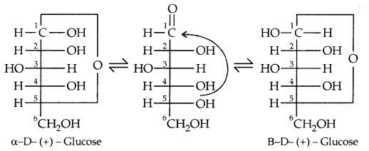 Biomolecules Class 12 Notes Chemistry 14