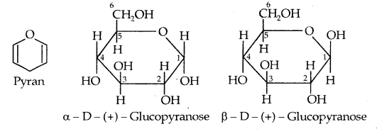 Biomolecules Class 12 Notes Chemistry 15