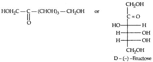 Biomolecules Class 12 Notes Chemistry 16