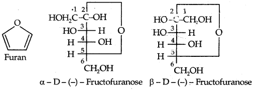 Biomolecules Class 12 Notes Chemistry 17