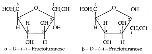 Biomolecules Class 12 Notes Chemistry 18