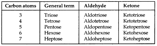 Biomolecules Class 12 Notes Chemistry 2