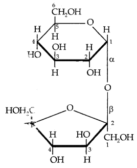 Biomolecules Class 12 Notes Chemistry 20