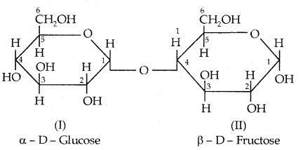 Biomolecules Class 12 Notes Chemistry 22