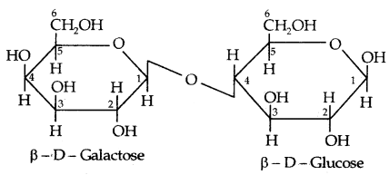 Biomolecules Class 12 Notes Chemistry 23