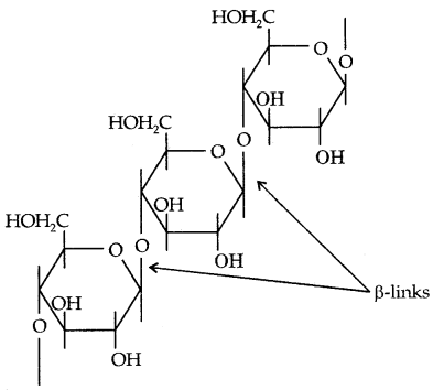 Biomolecules Class 12 Notes Chemistry 25