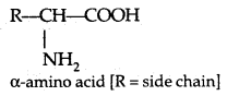 Biomolecules Class 12 Notes Chemistry 26