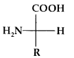 Biomolecules Class 12 Notes Chemistry 28