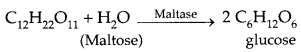 Biomolecules Class 12 Notes Chemistry 33