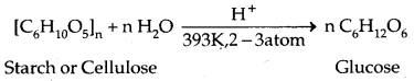 Biomolecules Class 12 Notes Chemistry 4