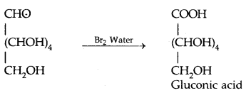 Biomolecules Class 12 Notes Chemistry 8