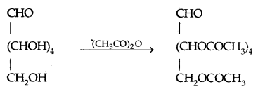 Biomolecules Class 12 Notes Chemistry 9